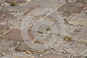 Close-up paved footpath with stones and moss