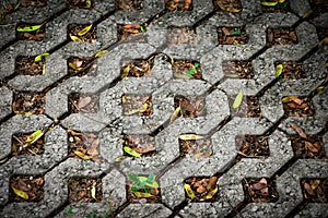 Close-up of paving bricks or paving stones with a modern square shape and a mix of grass and leaves used for site and walkway