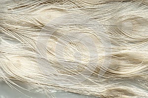 Close-up peacock feathers composition on white background