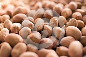 Peanut kernels