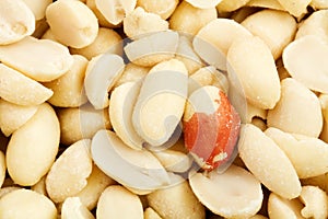 Close up of the peanuts