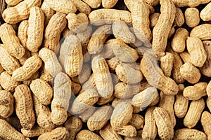 Close up peanuts or groundnuts pattern. Peanuts in the shell.