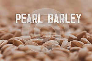 A close up of pearl barley grains. Raw porridge top view. Grain pattern. Vegan Raw Food.