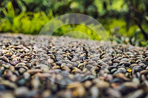 Close up of pebble stones on the pavement for foot reflexology, selective focus