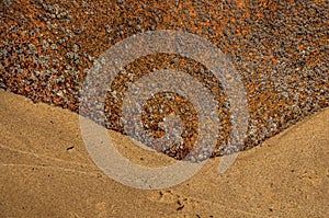 Close-up of peculiar rock with barnacles and sand in Paraty Mirim.