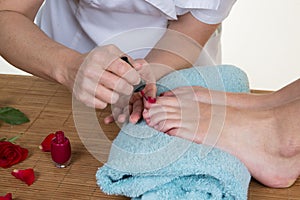 Close-up of pedicurist applying nail polish to the toenails