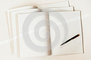 Close-up of pen on a background of large open blank and empty notebooks in a cage, top view, texture. Place for text