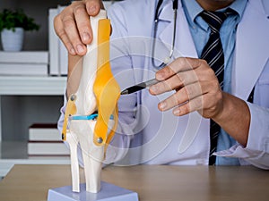 Close-up pen holding by orthopedic doctor man`s hand in white coat pointing to knee joint anatomy model on desk.