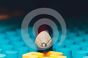 Close-up of pencil tip with low depth of field.