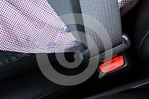 Close Up of people fastening seat safety belt in car for safety before driving