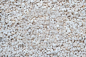 Close up of Perlite, Potting Cactus, Succulent, Hydroponics Vegetable Material
