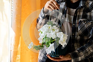 close up person holding pot with a flower plant indoor at home