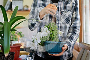 close up person holding pot with a flower plant indoor at home