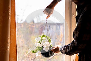 close up person holding pot with a flower plant indoor at home