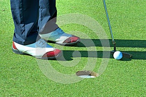 Close up of person putting golf ball on golf course