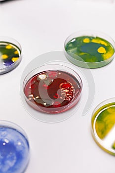 Close up of petri dish on laboratory desk at clinic