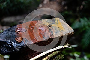 Close up photo of aboriginal natural paints displayed at Mossman Gorge