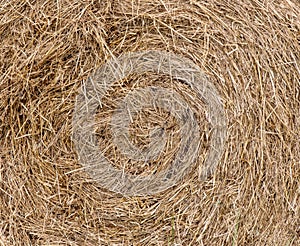 A close up photo of a bale of hay