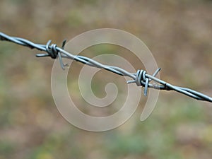 Close up photo of barbed wire with a blurred woodland background