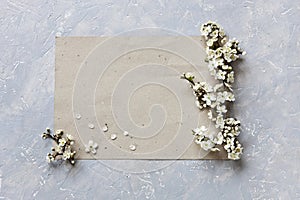 Close-up photo of beautiful white blooming flowers of cherry tree branches on piece of paper on grey background. Top view