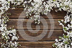 Close-up photo of Beautiful white Flowering Cherry Tree branches