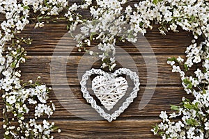 Close-up photo of Beautiful white Flowering Cherry Tree branches