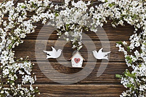 Close-up photo of Beautiful white Flowering Cherry Tree branches