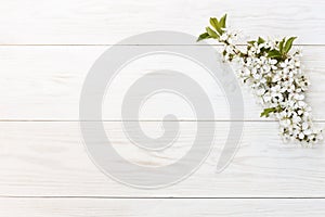 Close-up photo of Beautiful white Flowering Cherry Tree branches. Wedding, engagement or betrothal concept on vintage wooden backg