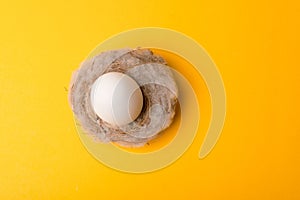 Close up photo of birds nest easter eggs over yellow background