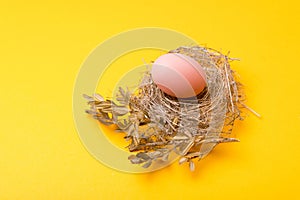 Close up photo of birds nest easter eggs over yellow background