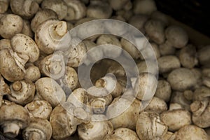 Close-up of button mushrooms in grocery store