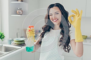 Close up photo cheerful beautiful busy nice duties she her lady house hold okey symbol washing supplies pulverize promo