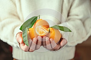 Close up photo of child hands in knitted sweater holding fresh mandarins with green leaves