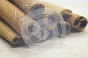 Close-up photo of a cinnamon barks