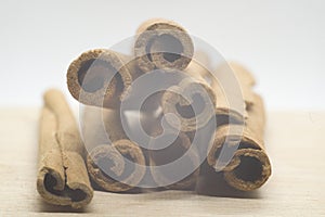 Close-up photo of a cinnamon barks