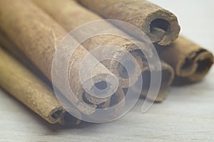 Close-up photo of a cinnamon barks