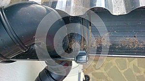 Top view of a seperated and dirty gutter photo