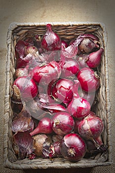 Fresh red onions piled in a basket