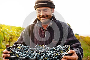 Close up photo of a farmer worker simple man in warm sweater and hat holding in his hands a box full with grapes for