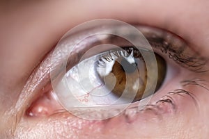 Sly look, soft photo of an eye photo