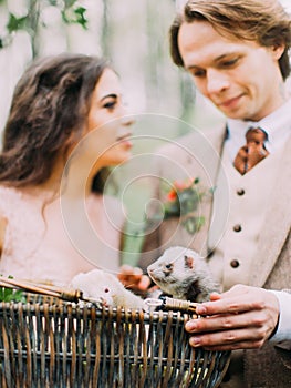 The close-up photo of the ferrets in the woven basket at the background of the blurred newlywed couple holding the