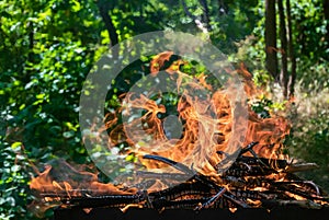 Close-up photo of a flame from brushwood that burns out in a grill for charcoal for a barbecue.