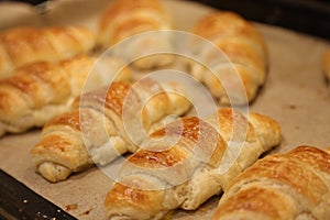 Close up photo of fresh butter croissants from oven