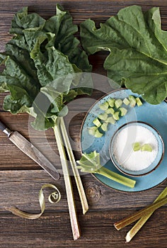 Close-up photo of fresh green leaves of rhubarb, knife and white sugar in blue bowl on plate