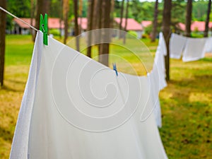Close up photo of fresh white laundry hanging on a washing rope with clothespin between pine trees outdoor in a summer camp in a