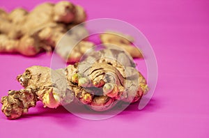 Close-up photo of ginger on a pink background. Ginger is one of the medicinal herbs that have many medicinal propertie