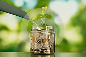 Close up photo of glass jae full of coins and growing plant inside as a symbol of invest or funding in business.