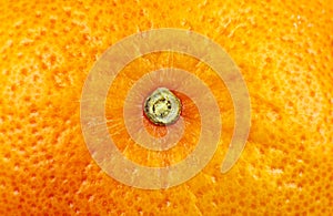 Close up photo of Grapefruit peel texture. Exotic ripe fruit background, macro view. .Human skin problem concept, acne and