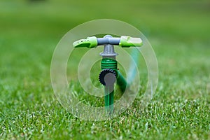 Close up photo of grass