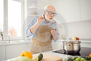 Close up photo grey haired he his him grandpa appetite waiting guests cooking favorite family dish trying taste wait